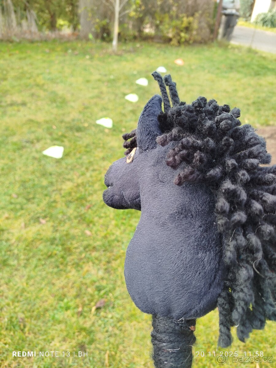 Hobby horse - 9