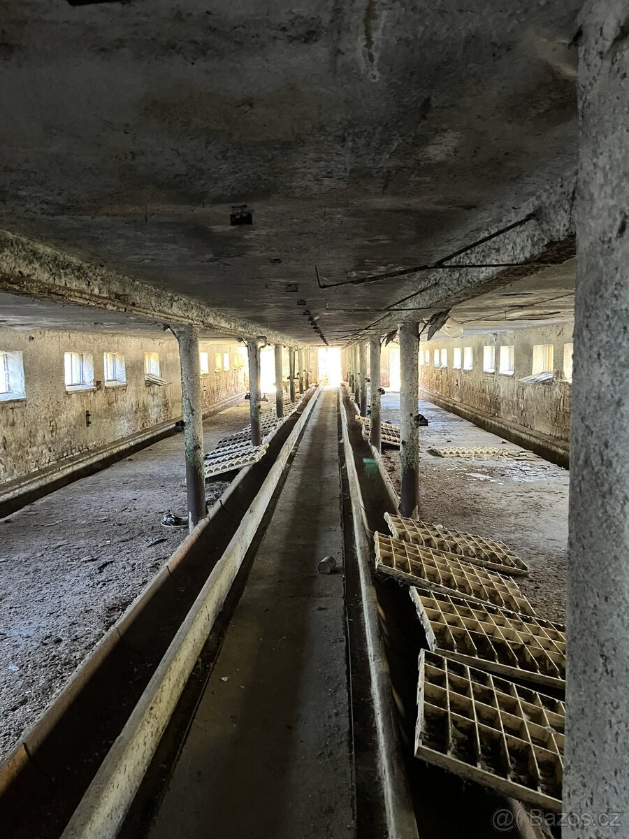 Veřejná dražba – zemědělské objekty Týček - 9