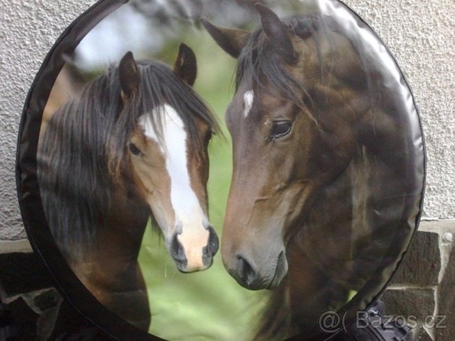 frontera - kryt na rezervu kolesa - 9