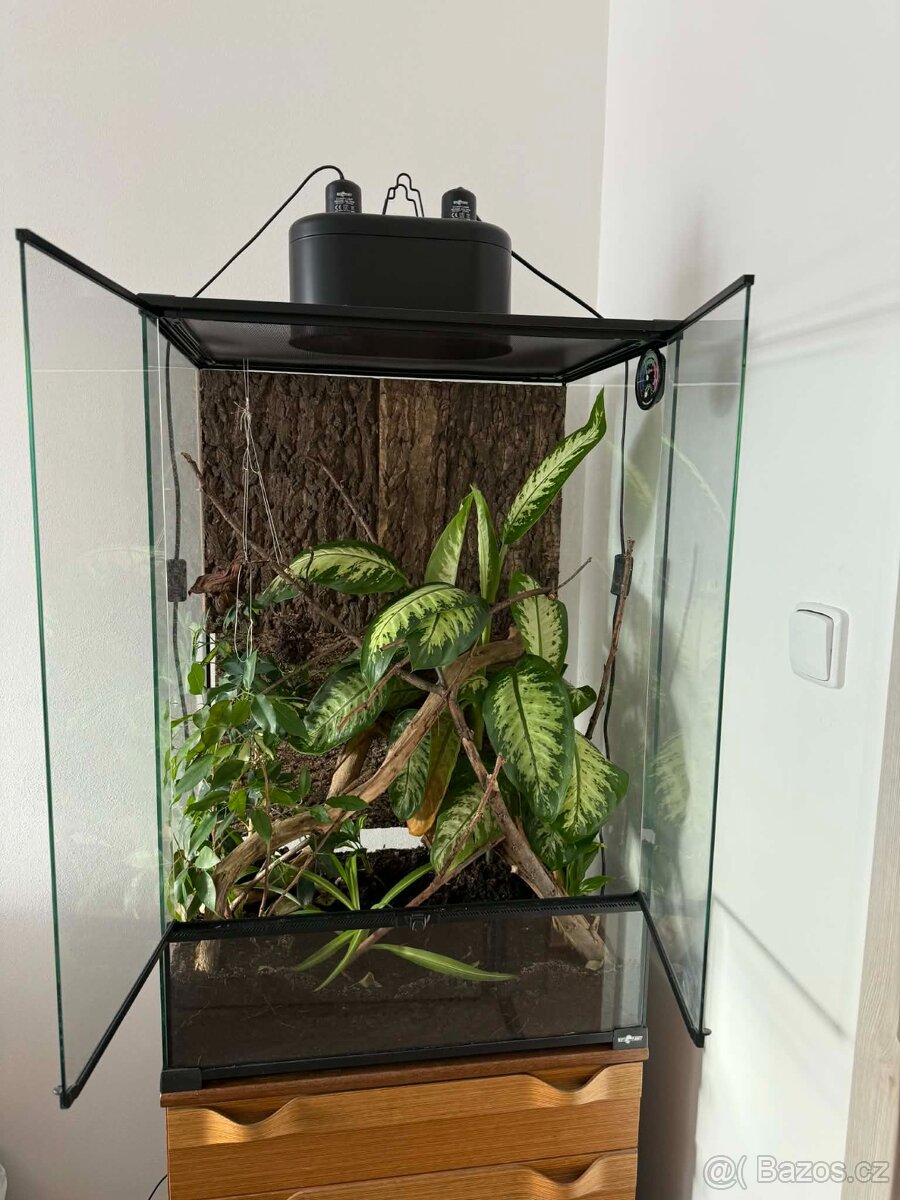 RP terárium 60x45x90 cm - 9
