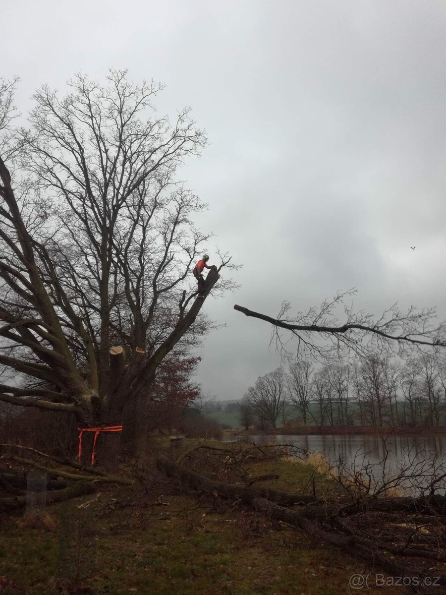 Pronájem autoplošiny - 9