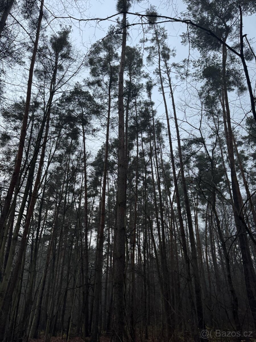 Prodám pozemky v k.ú. Břehy - 9