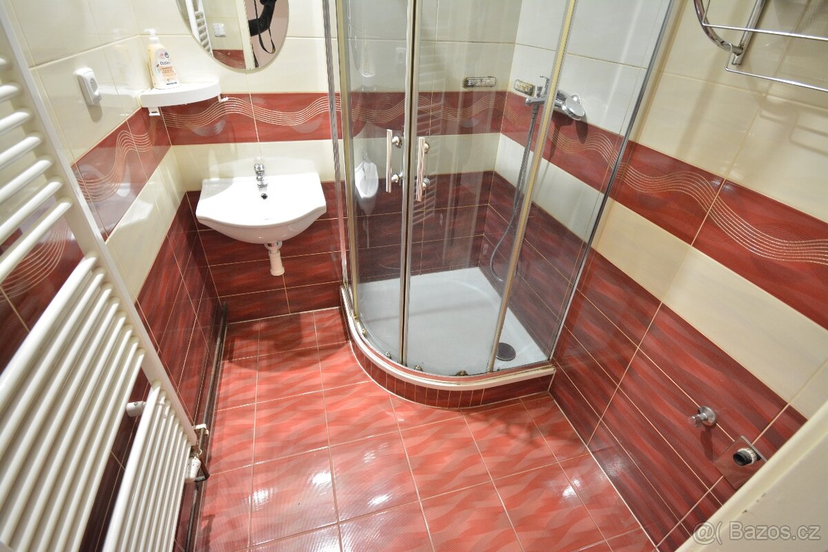 2+1 Toužim NÁJEM - 9