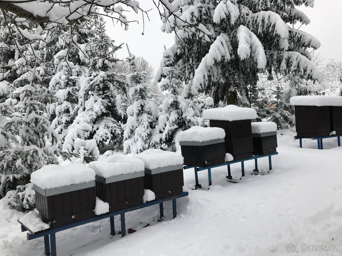 MED přímo od včelaře – při koupi 10 sklenic 1 zdarma - 9