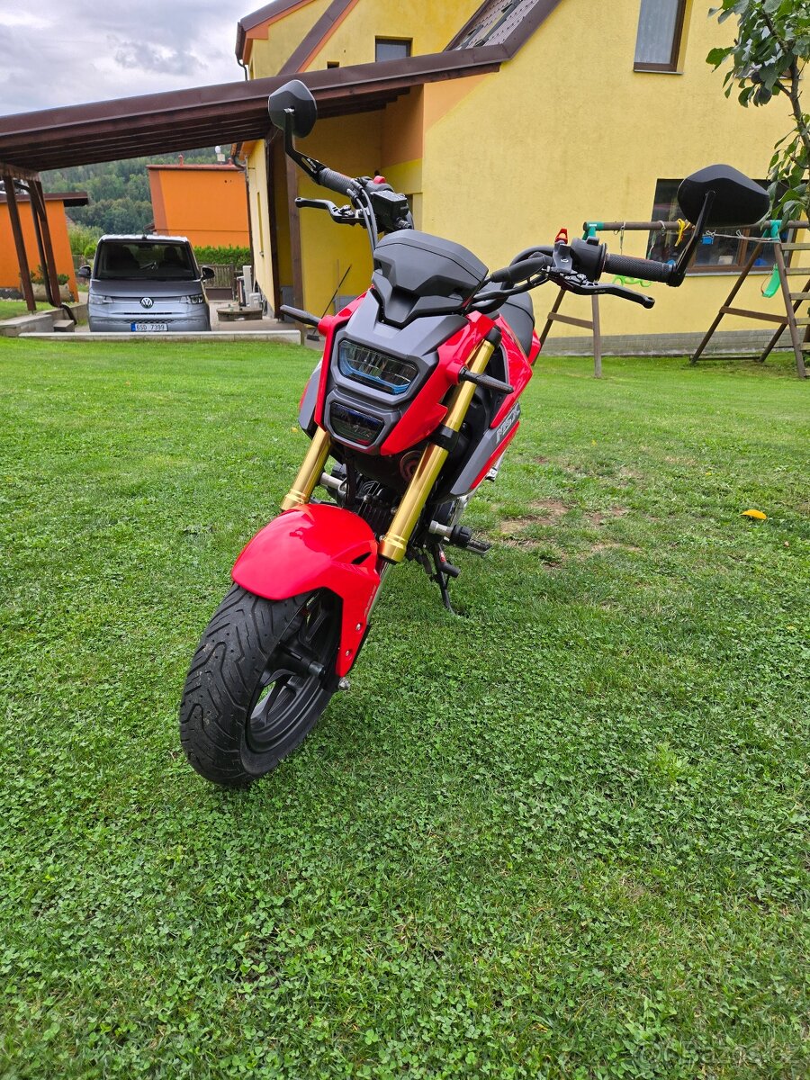 Honda MSX 125 - 9