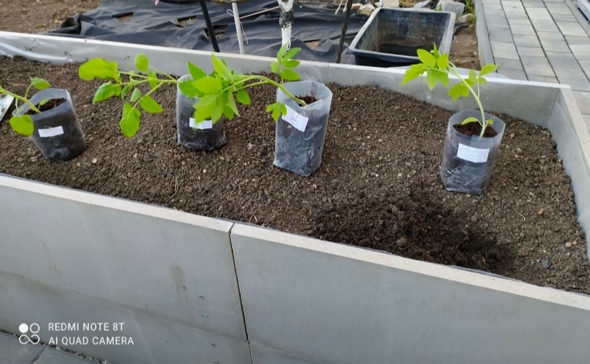 Cetris desky cementotřískové - 9