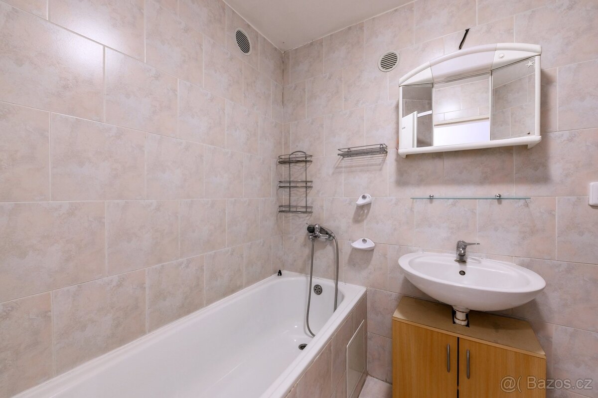 Pronájem bytu 2+kk 68 m², Plzeň - Jižní Předměstí - 9