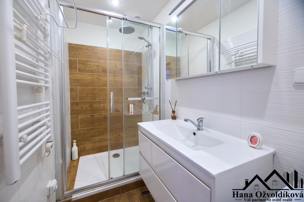 Pronájem bytu Boskovice - 9