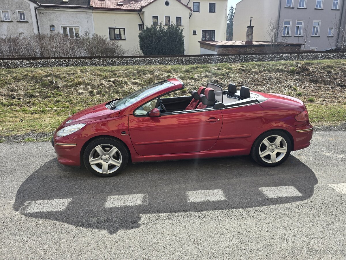 Peugeot 307 cc - 9
