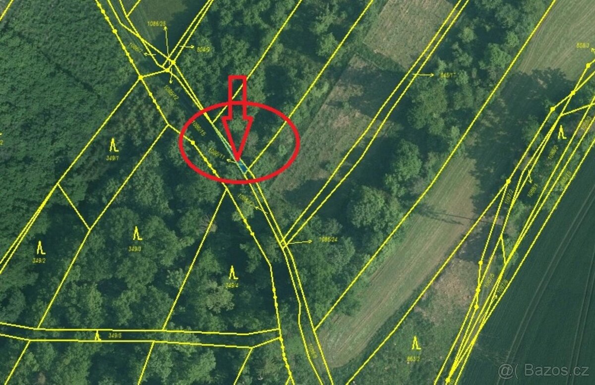 Prodej lesních pozemků v k.ú. Kočín - 9