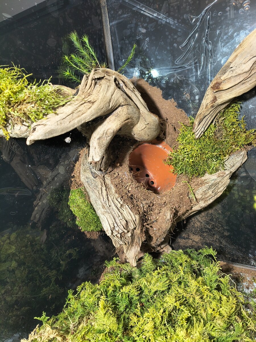 Terárium 60x45x45 - 9