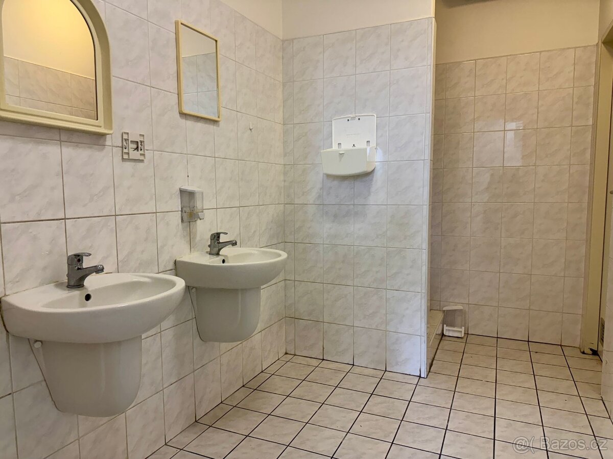 Pronájem obchodního prostoru 151 m² - 9