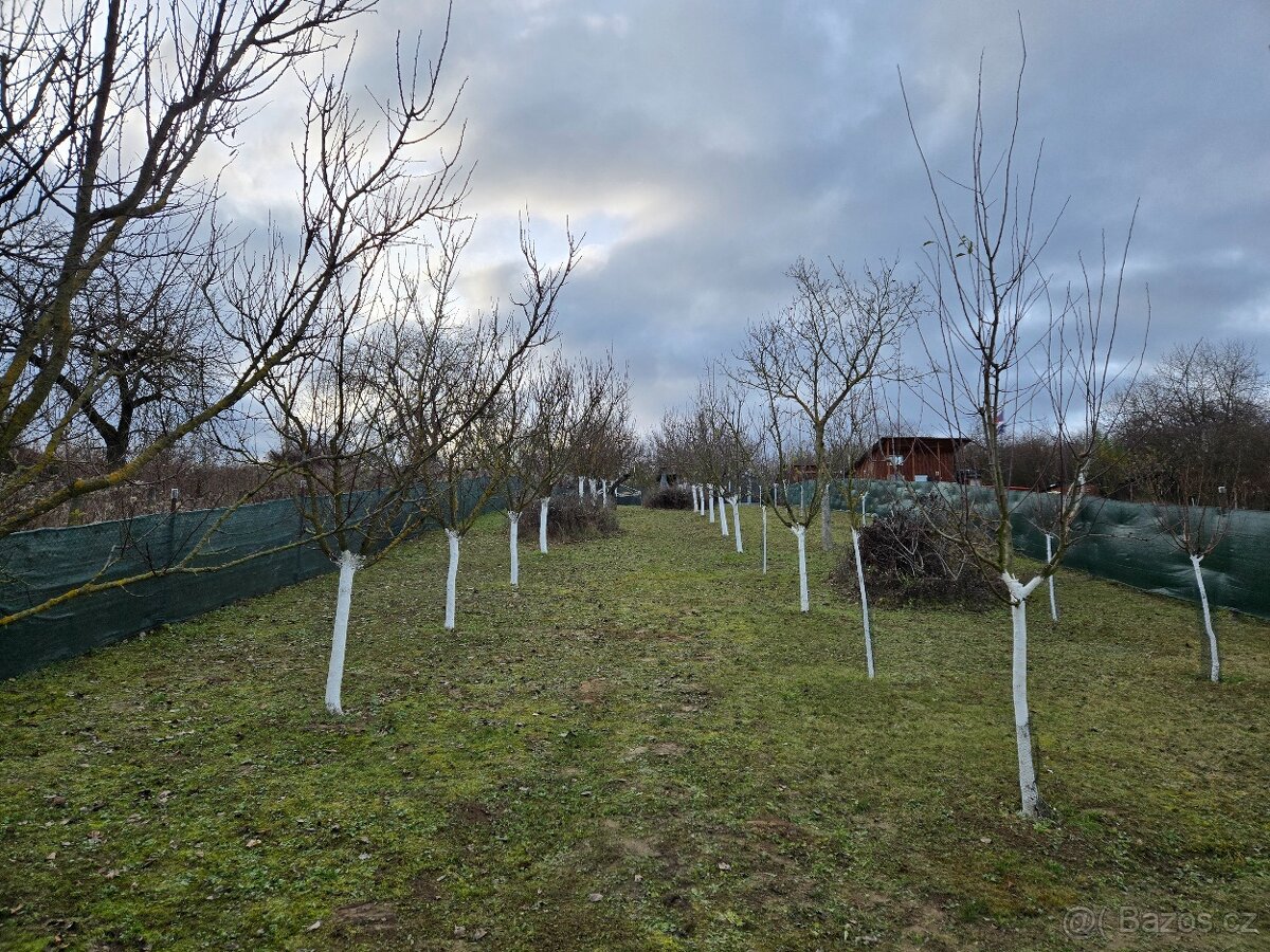 Zahrada s duší pro odpočinek, Vracov u Kyjova - 9