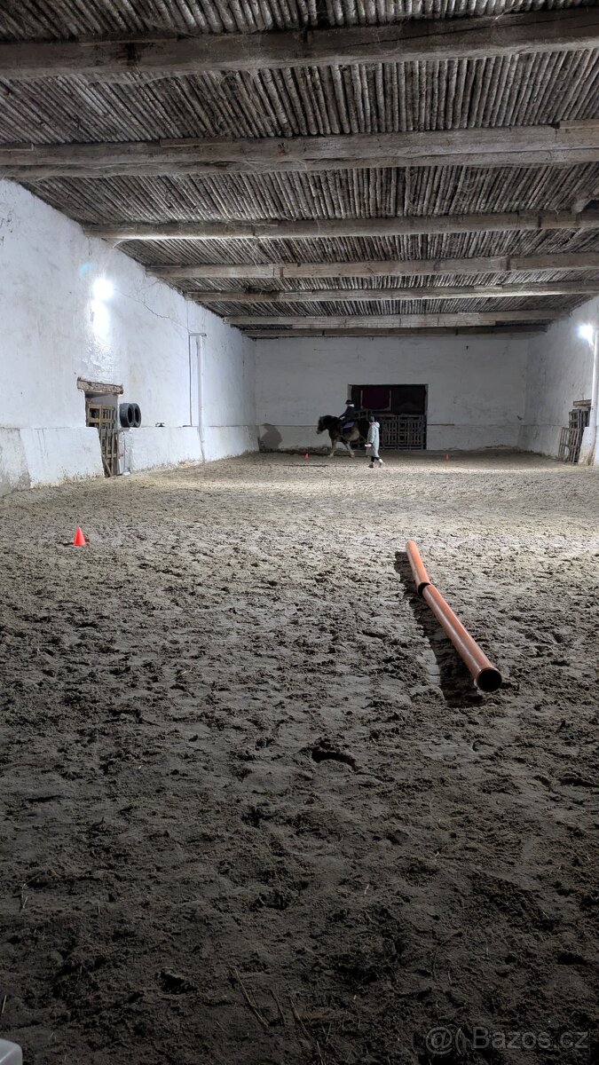 Pastevní ustájení s možností boxu-jedno místo volné - 9