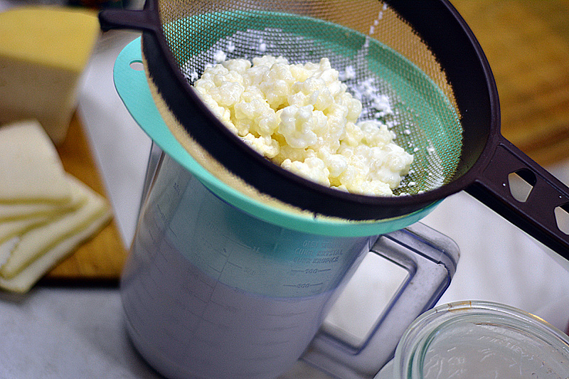 Bio Kefír - Tibetská huba - 9