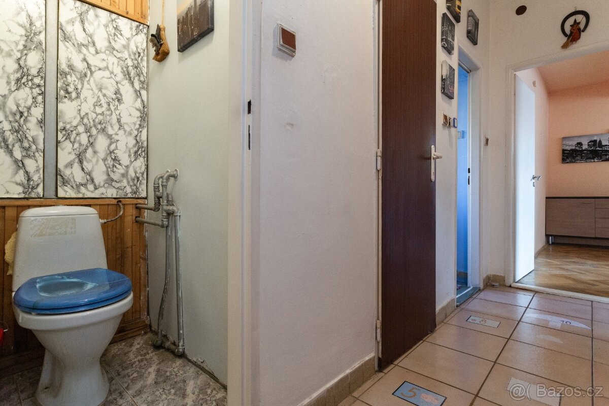 Prodej bytu 2+1, 59 m2, Poděbradská, Praha 9 Hloubětín - 9