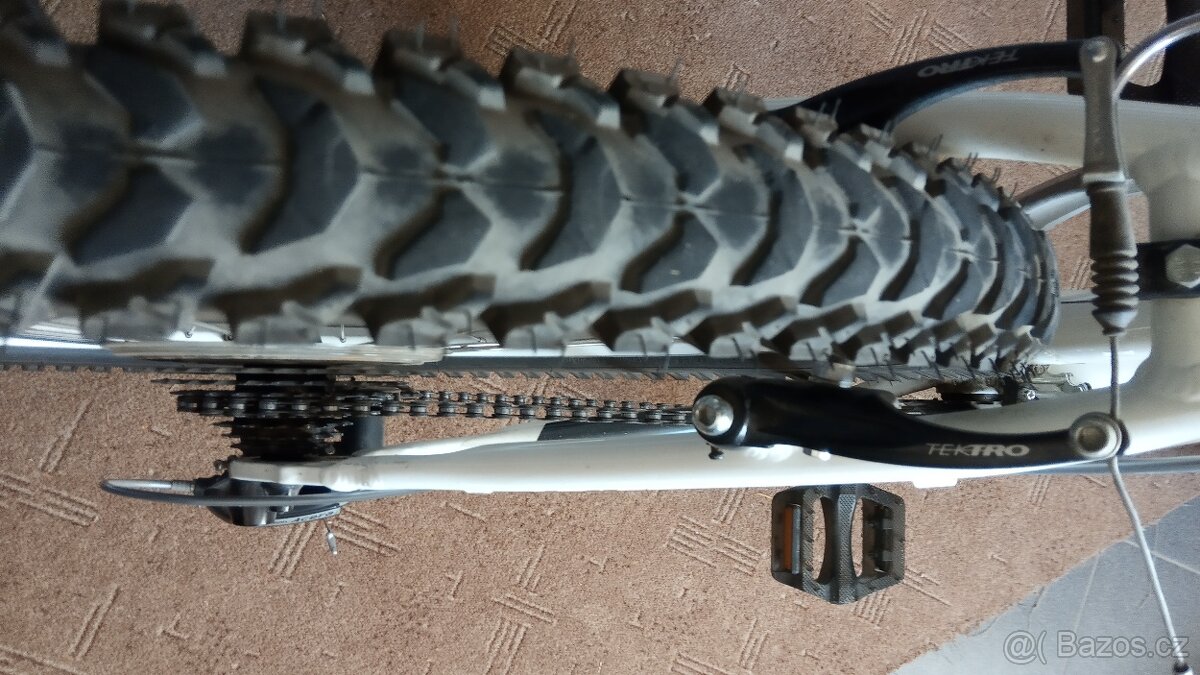 Fuji Nevada 19 " - 9