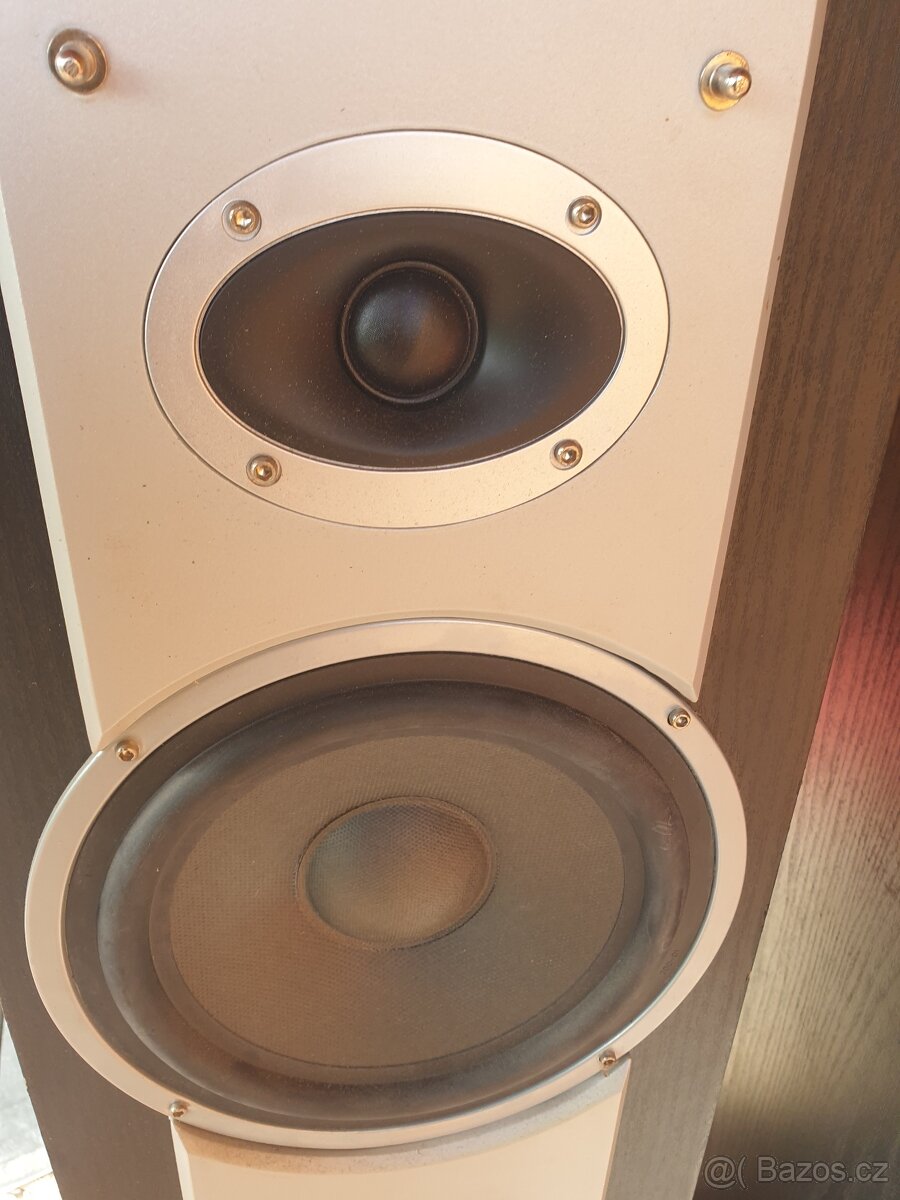 Reprobedny dixon - 9