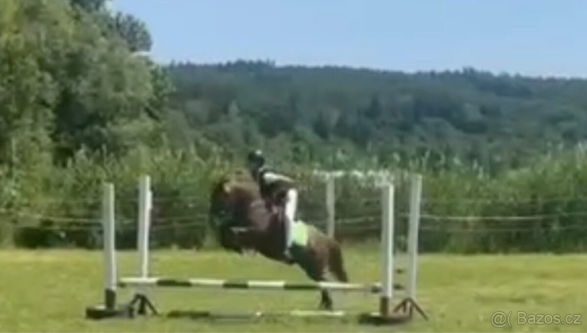 Scháním pronájem koně - 9