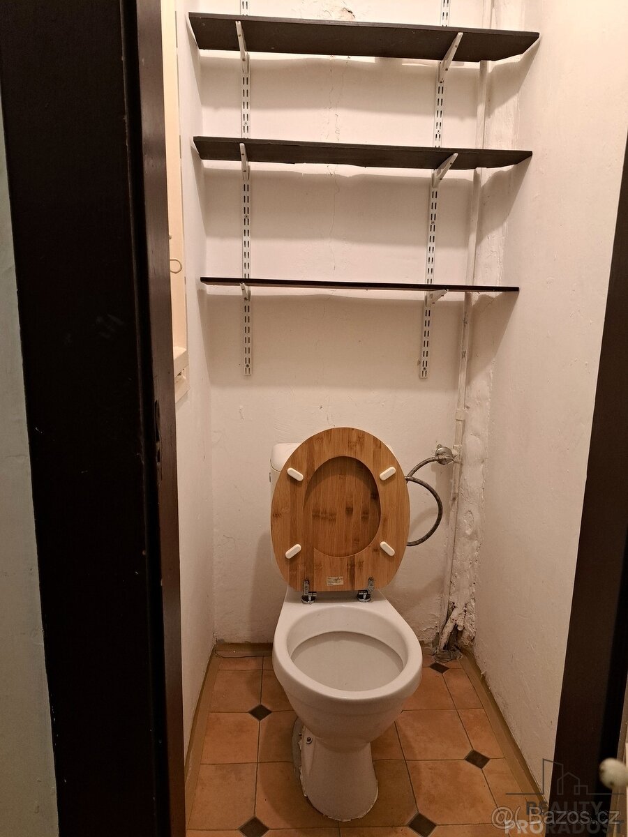 Pronájem bytu 2+kk 48 m² U staré pošty, Praha - Braník - 9