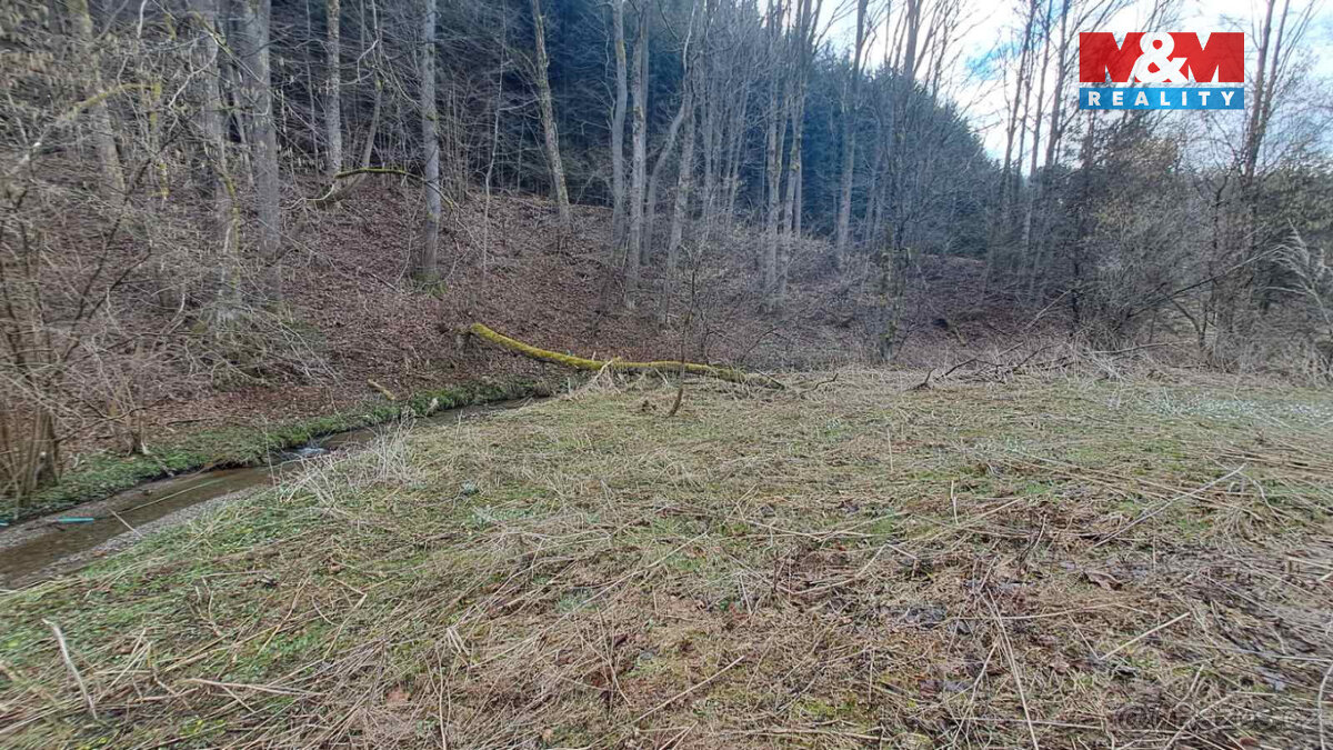 Prodej pozemku k bydlení, 852 m², Jindřichov - Pleče - 9