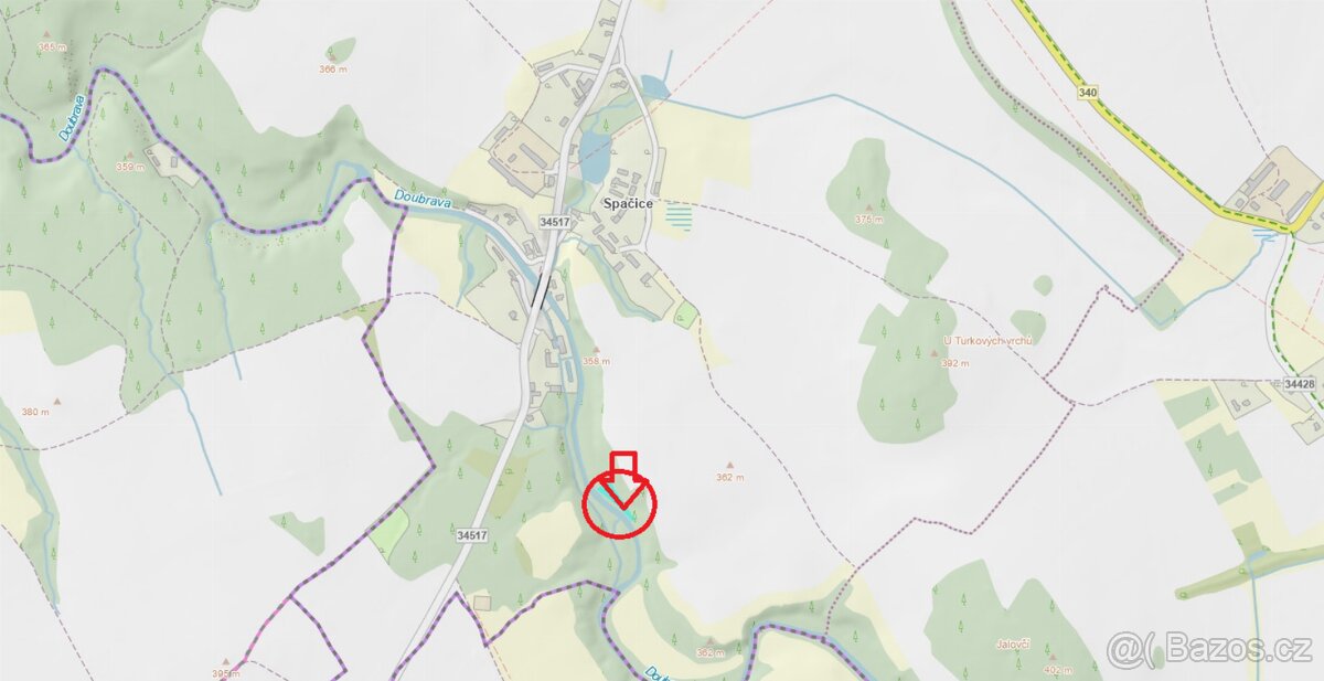 Prodej lesního pozemku k.ú. Spačice - 9