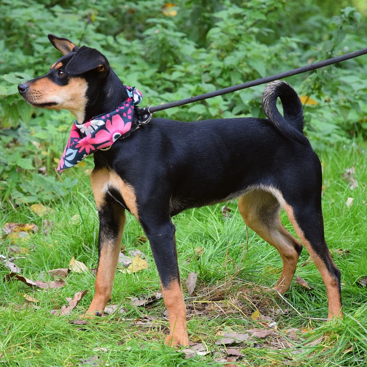 Vitalina rezervace - 9