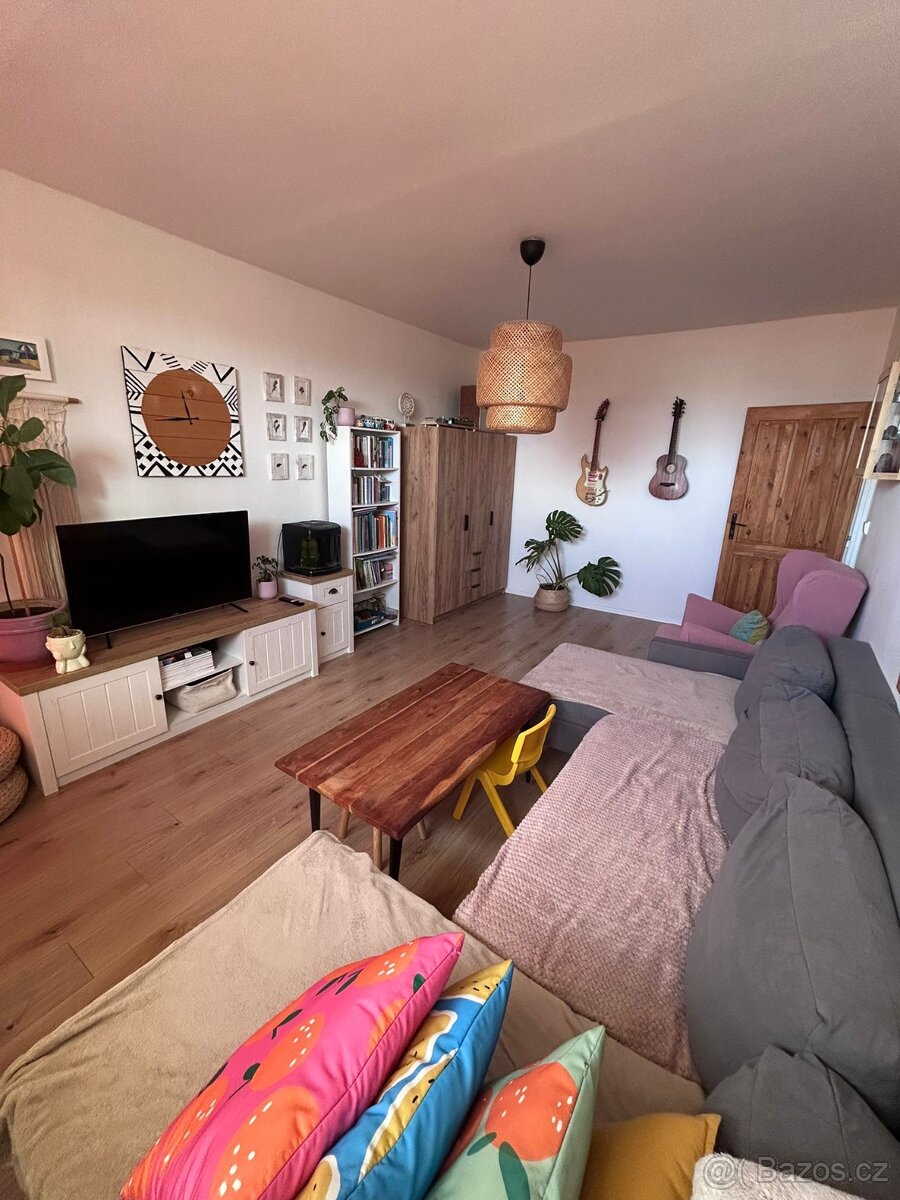 Prodám panelákový družstevní byt 4 + 1 - 9