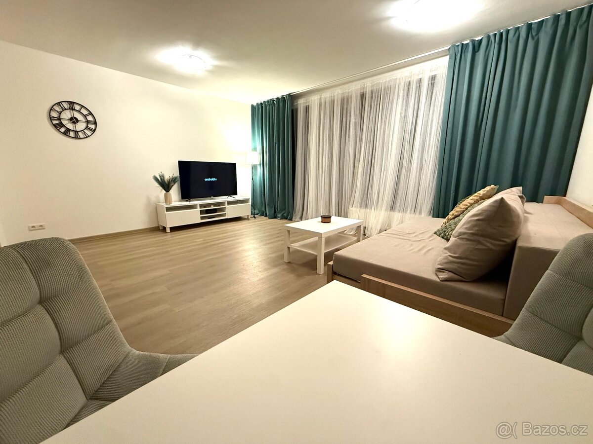 Pronájem bytu 1+kk (44m + 4m balkón) - 9