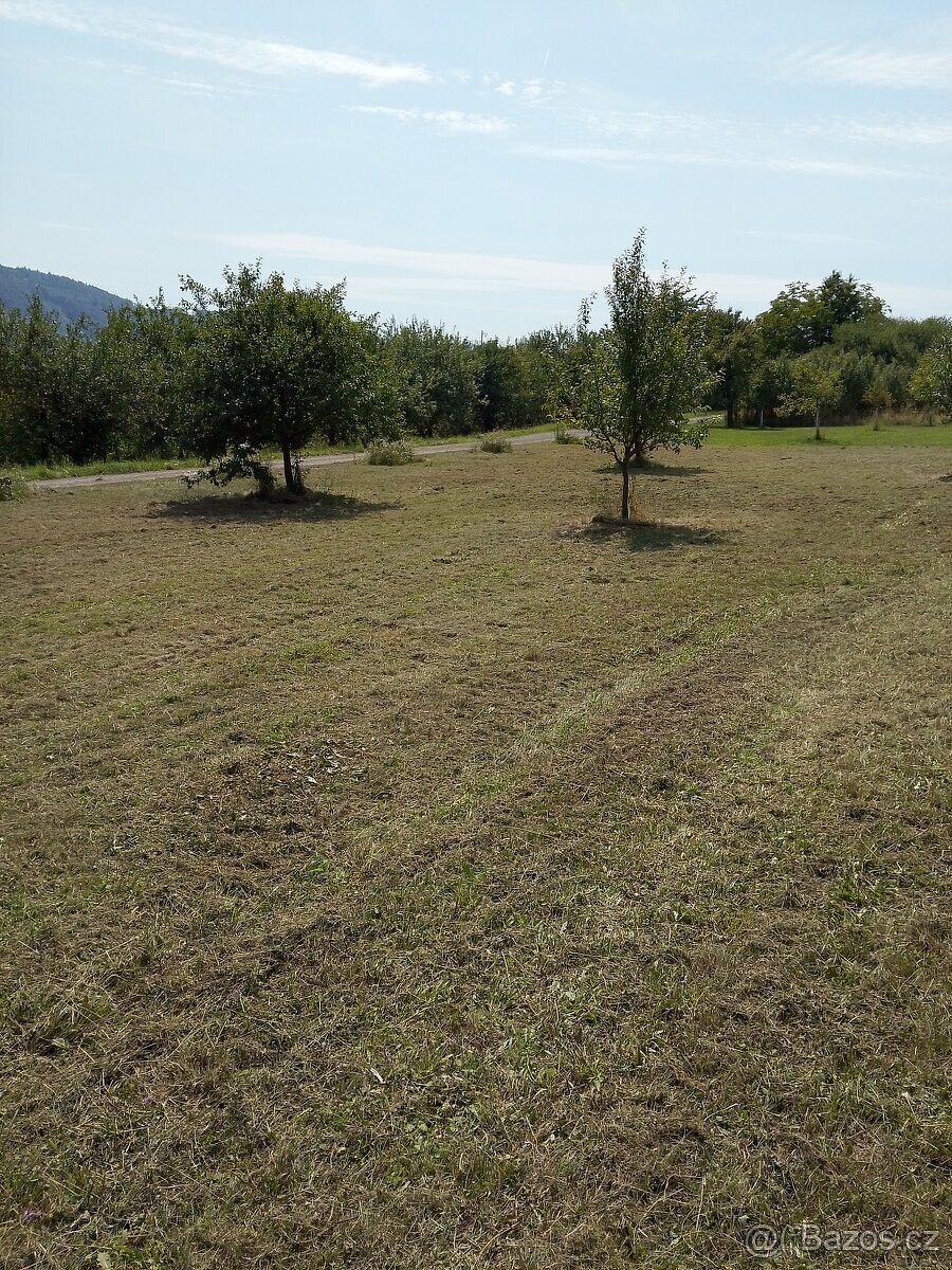 PRODEJ VÝROBNÍHO OBJEKTU HALY SE ZAHRADOU - 9