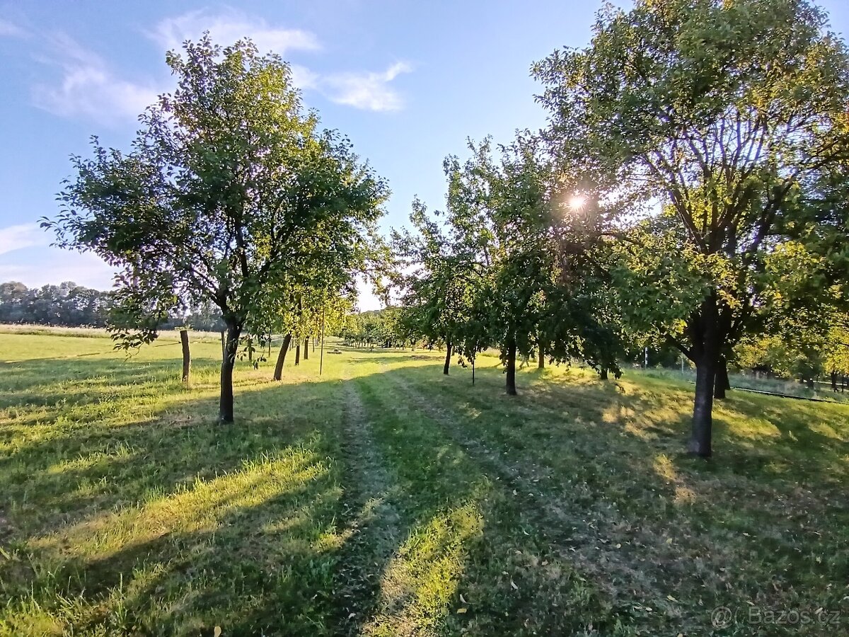 🏡 Prodej zahrady 1026 m² se zahradním domkem a studnou - 9
