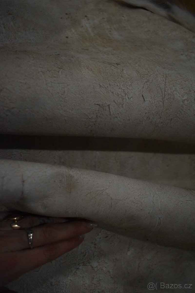 Kožešina daněk 2 - 9