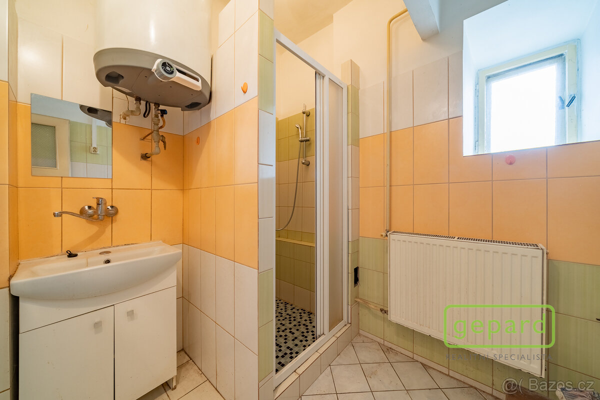 Prodej bytu 2+1, 146 m², Teplá - 9