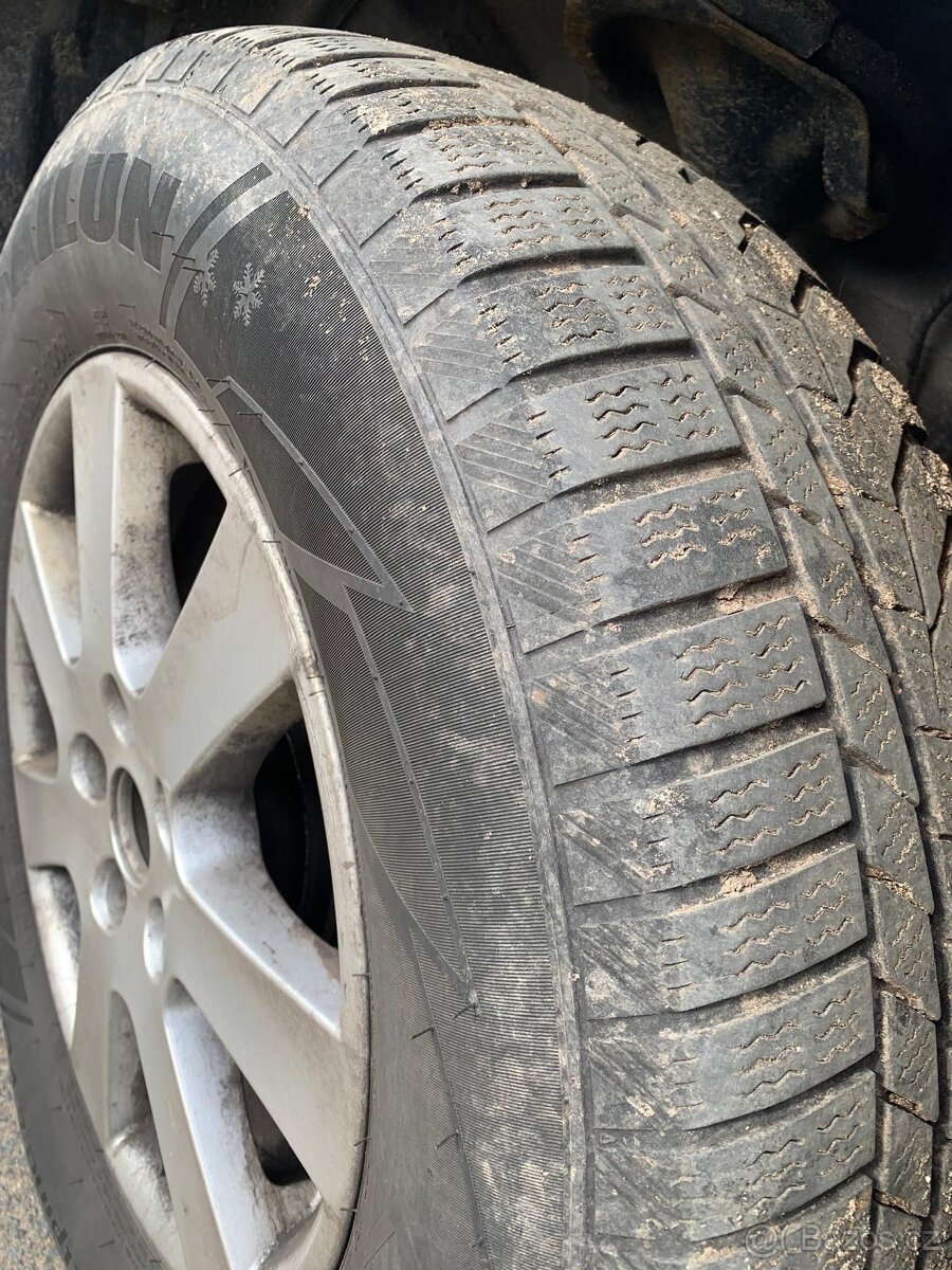 Auto s přívěsem na koně - 9