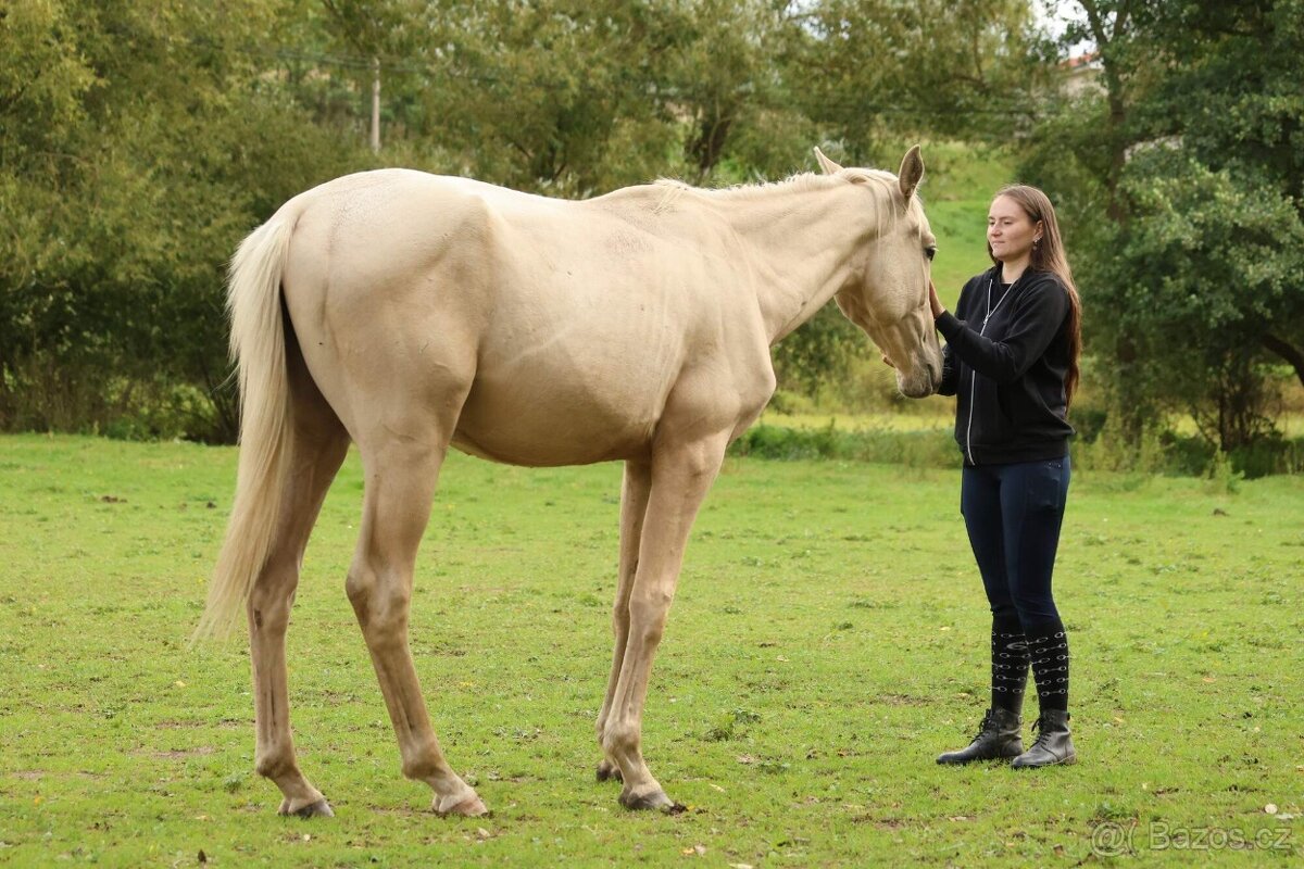 2,5 letí atraktivní a hodní valáškové - 9