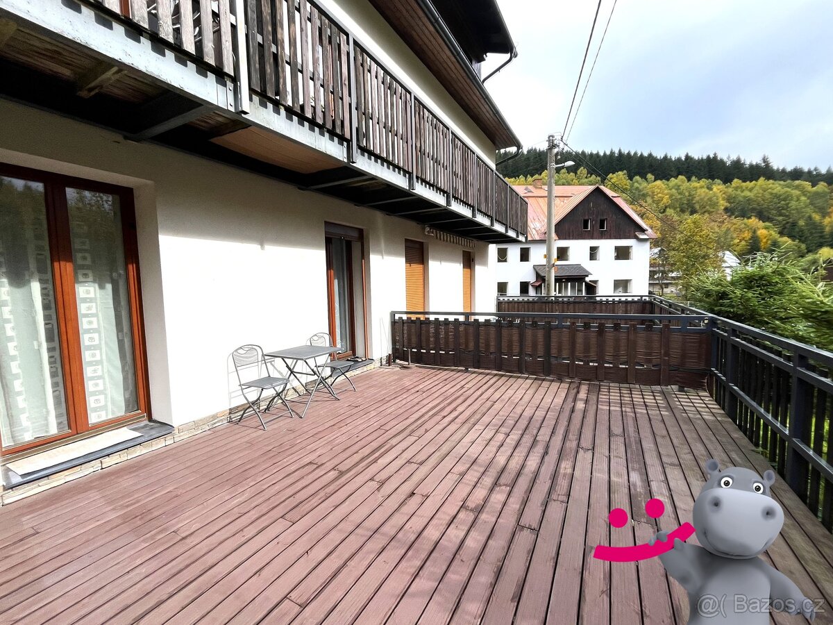Prodej bytu 1kk + terasa, parkování, 40 m², Ostružná - Petří - 9