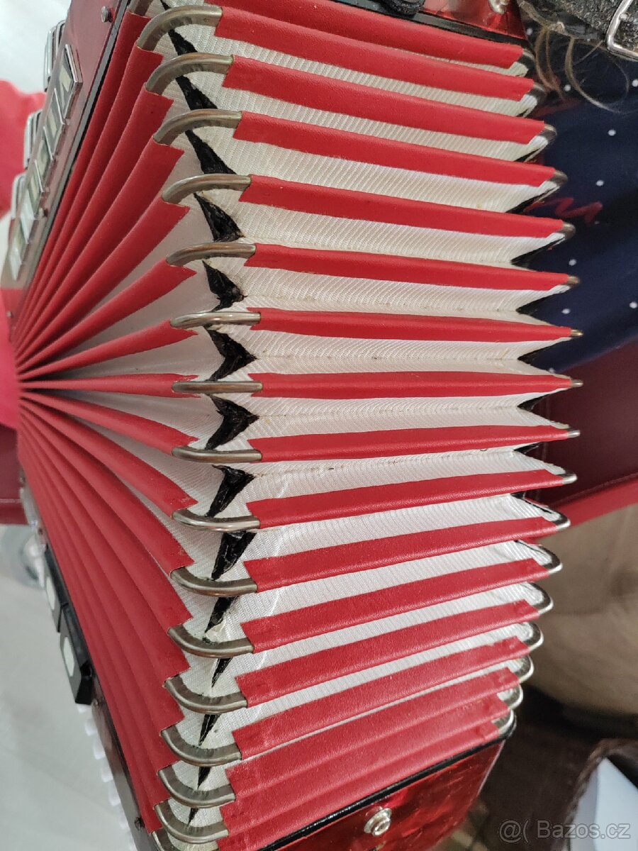 Akordeon Delicia junior - 9