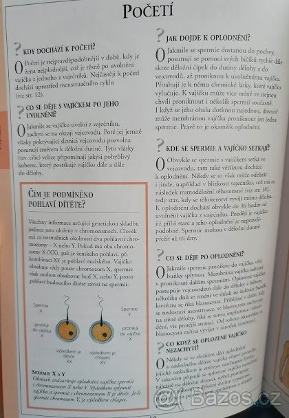 Těhotenství v otázkách a odpovědích - 9