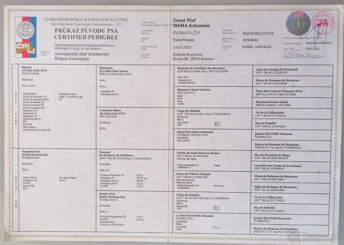 Ohař - prodej štěňat - 9