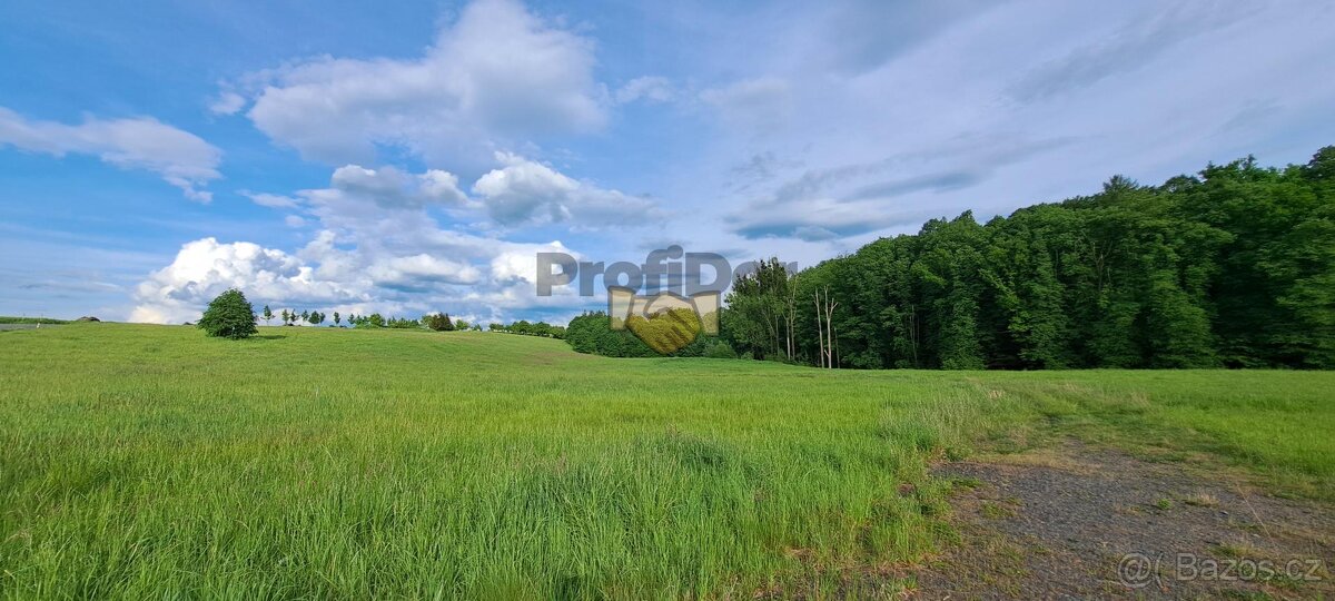 Prodej komerčních pozemků o výměře 22 154 m2, ve Valašském - 9