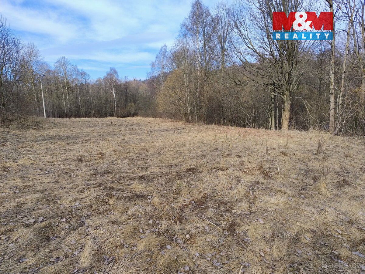 Prodej pozemku k bydlení, 1920 m², Dolní Moravice - 9