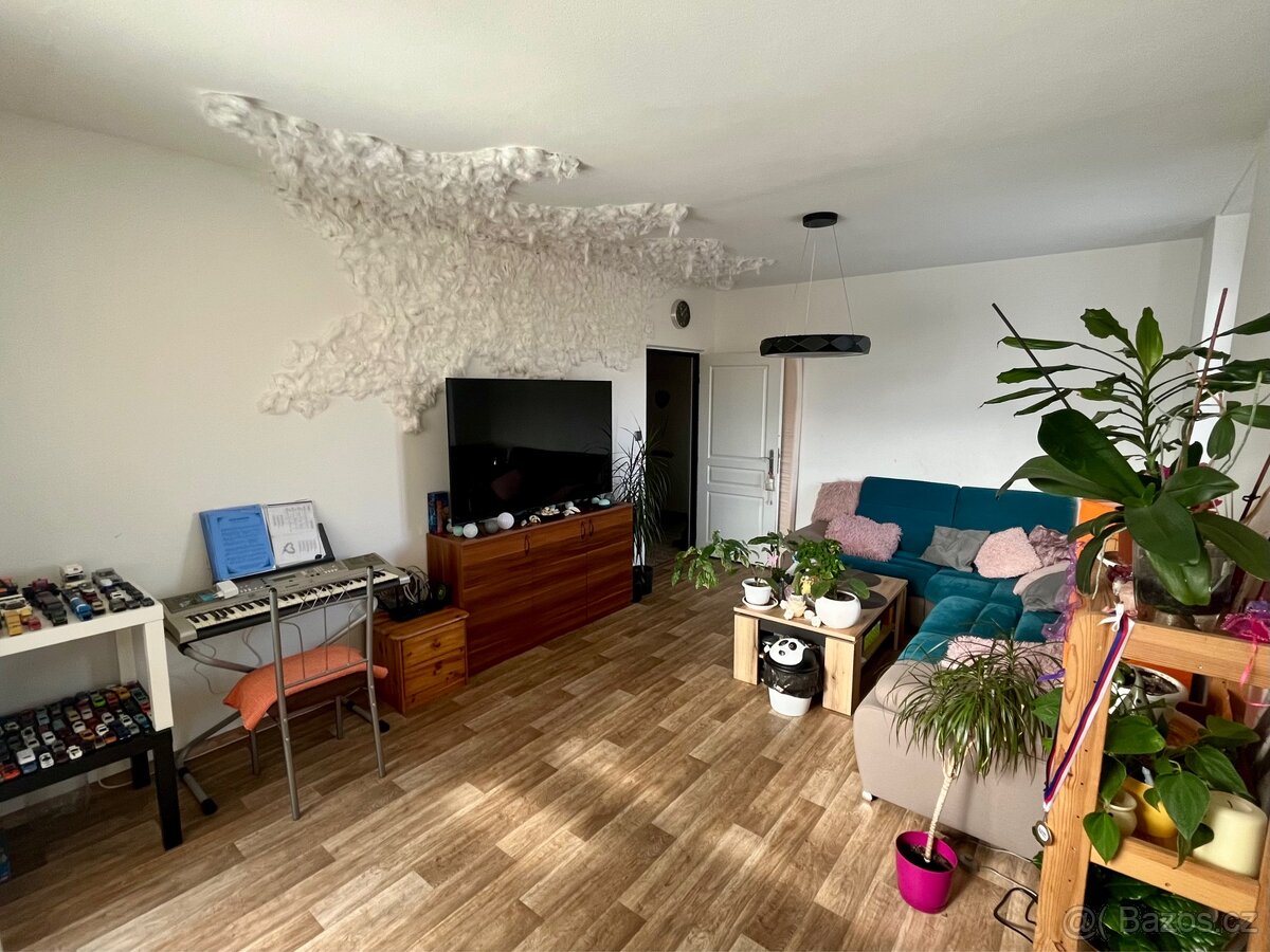 Prodej družstevního bytu 3+1 s lodžií - Česká Třebová - 9