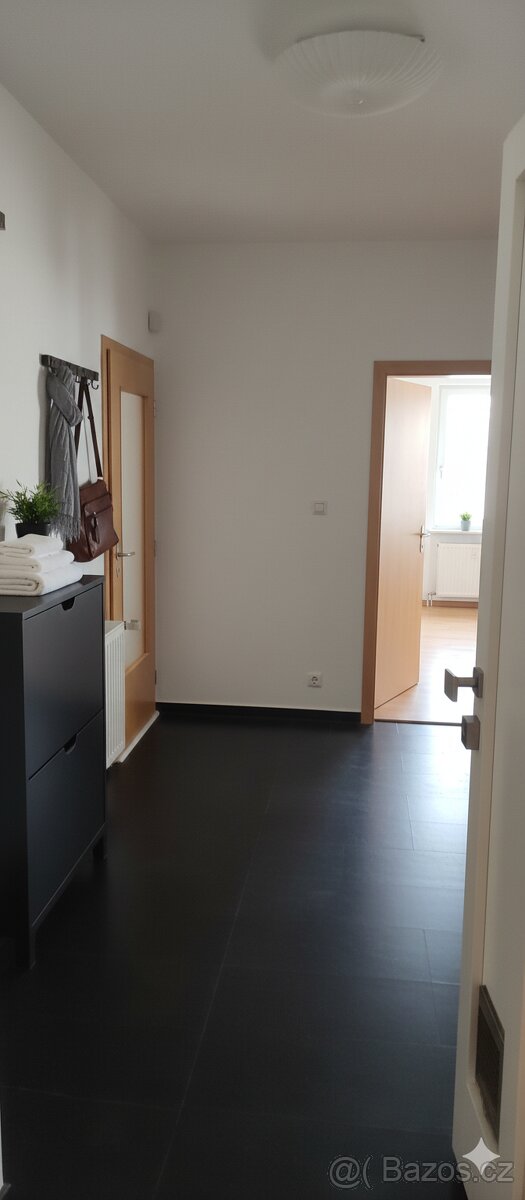 Pronájem prostorného bytu 2+kk (92 m) v RD Libčice nad Vlt. - 9