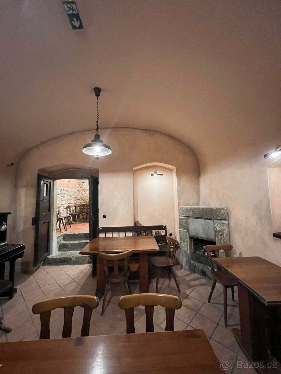 Prodej komerčního prostoru Praha 1 - 9