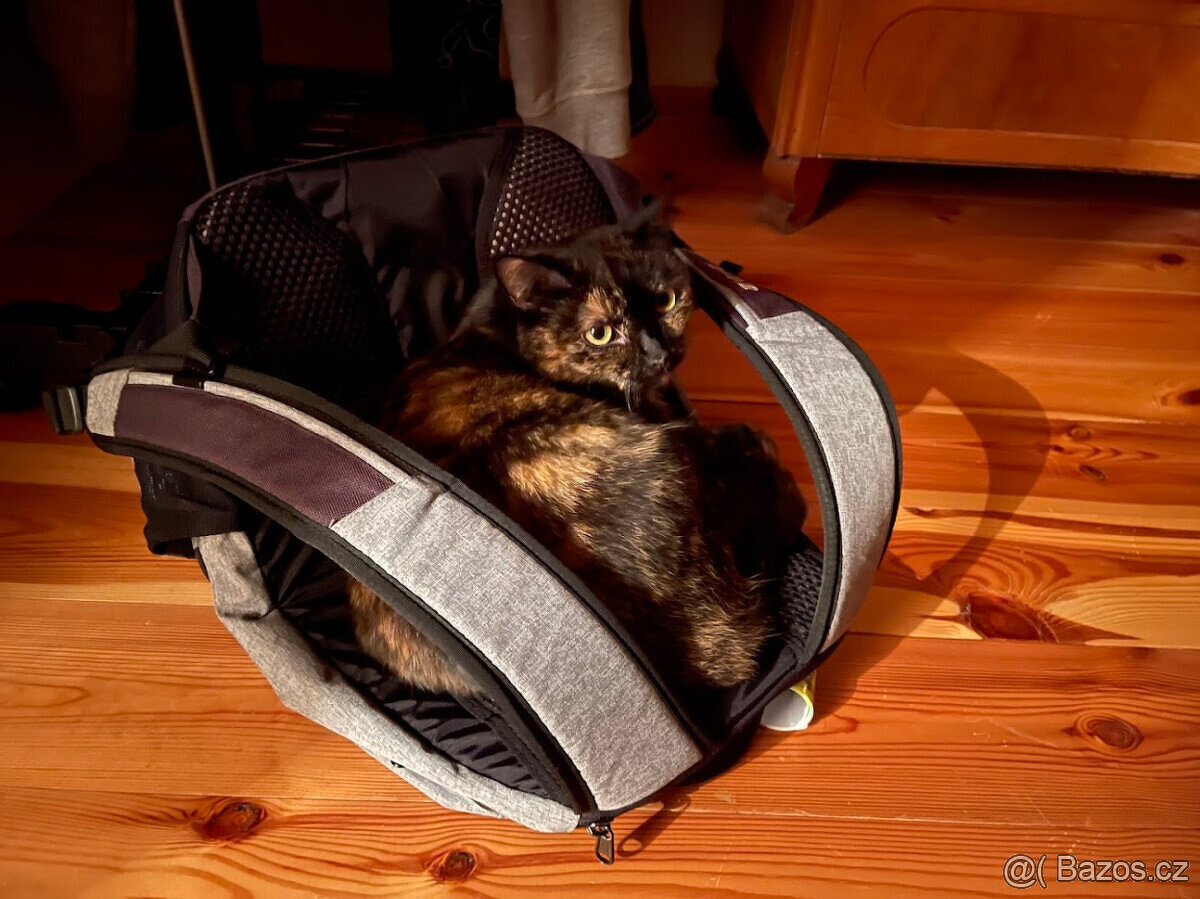 Daruji kočičku - 9