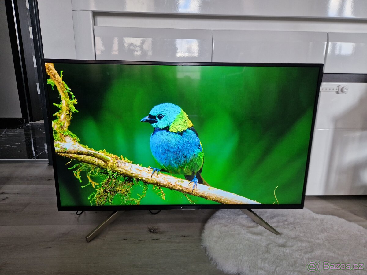 4K UltraHD Smart Tv Sony KD-43XF7596 - 9