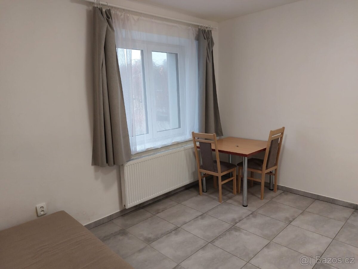 Pronájem bytu 1+kk v Rohatci - 9