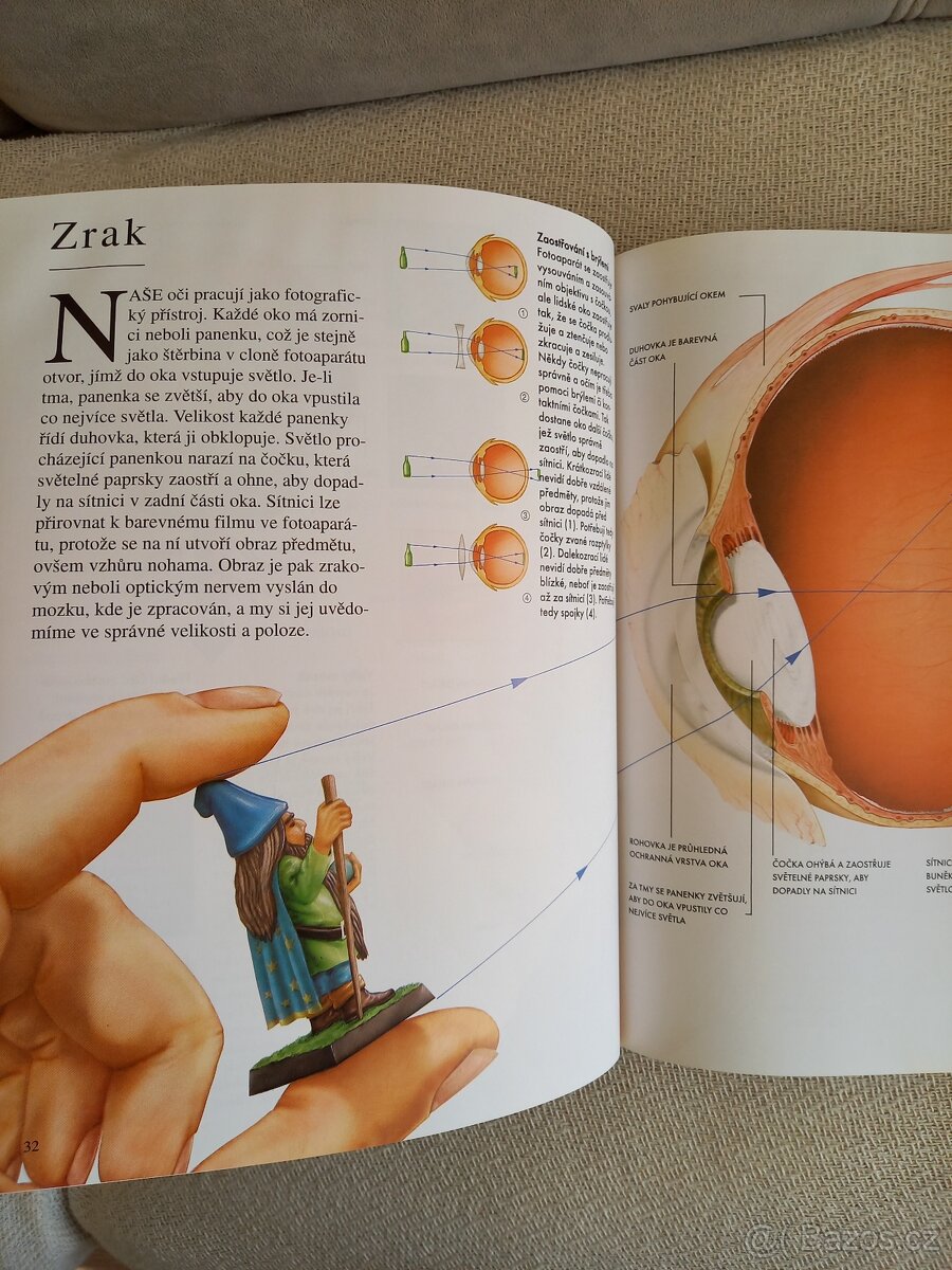 Člověk a jeho tělo - 9