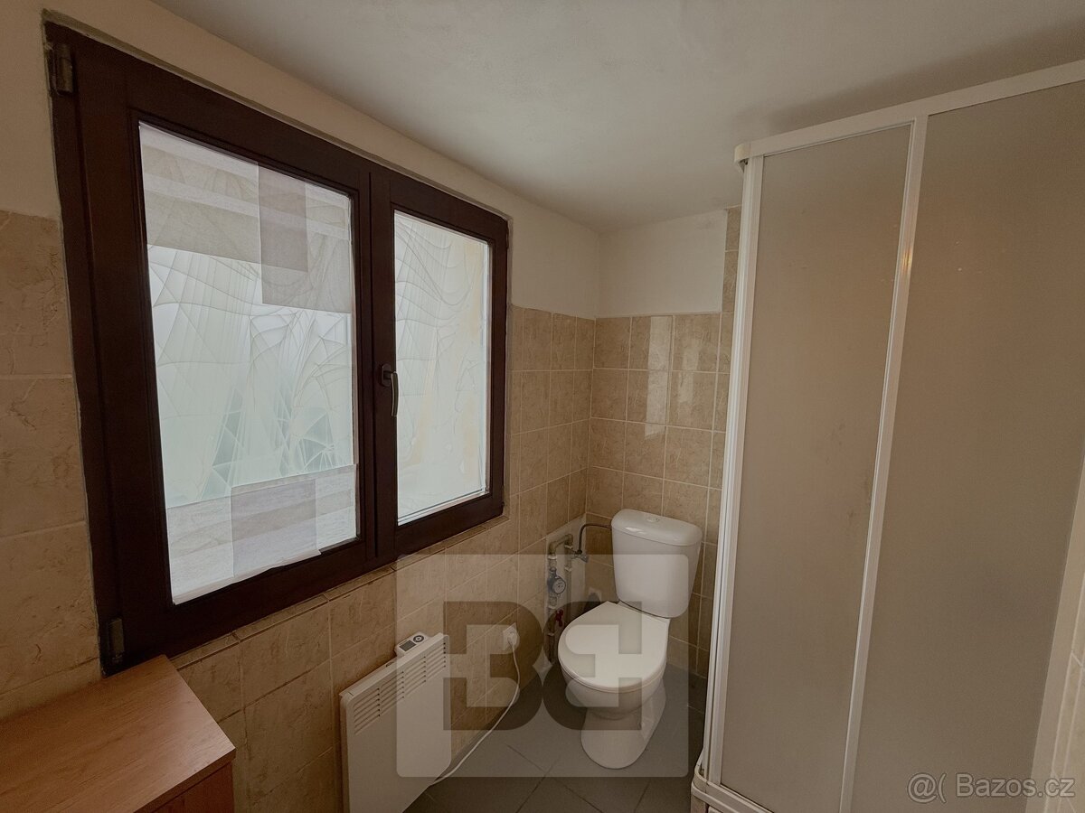 Pronájem bytu 1+kk 21 m², Praha - Řepy, ev.č. N08649 - 9