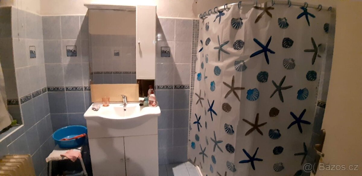 Prodám rodinný dům - 9